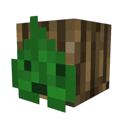 mmaji Minecraft avatar head, 3D render