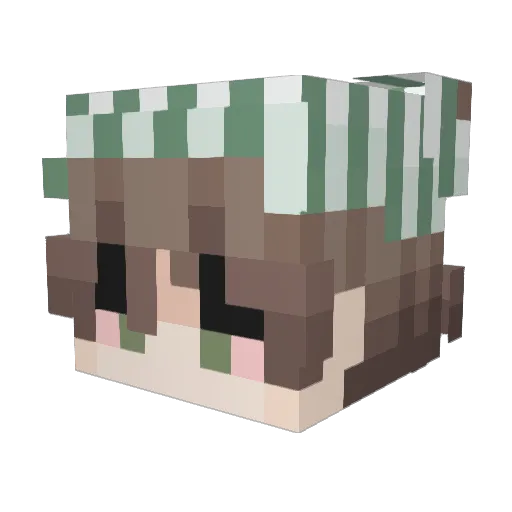 mmateeo Minecraft avatar head, 3D render