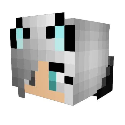 mmcd_2 Minecraft avatar head, 3D render