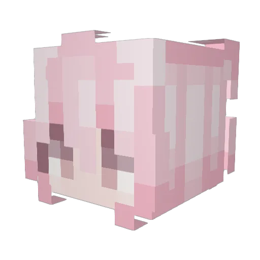 mmeerrccii Minecraft avatar head, 3D render