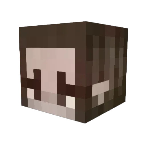 mmichelle2 Minecraft avatar head, 3D render