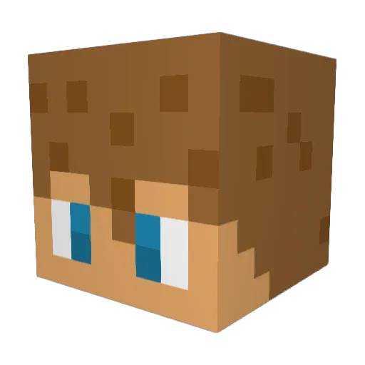 mmm2tacos Minecraft avatar head, 3D render