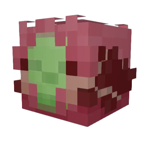 mmmRaniel Minecraft avatar head, 3D render
