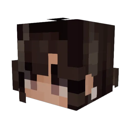 mmmmmmmmmmmmikki Minecraft avatar head, 3D render