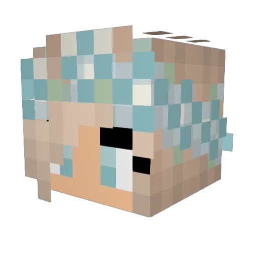 mmollyson21 Minecraft avatar head, 3D render