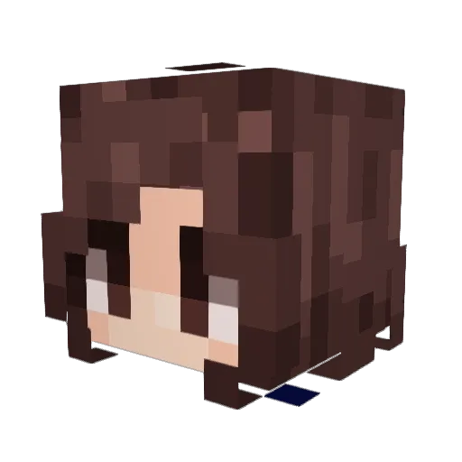 mmpuppy16 Minecraft avatar head, 3D render
