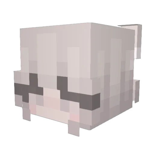 mmray07 Minecraft avatar head, 3D render