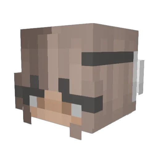 mnaaotn Minecraft avatar head, 3D render