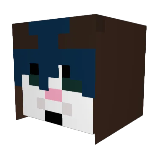 mnhashtag4325 Minecraft avatar head, 3D render