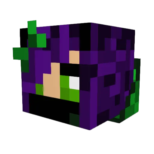 mni99998 Minecraft avatar head, 3D render