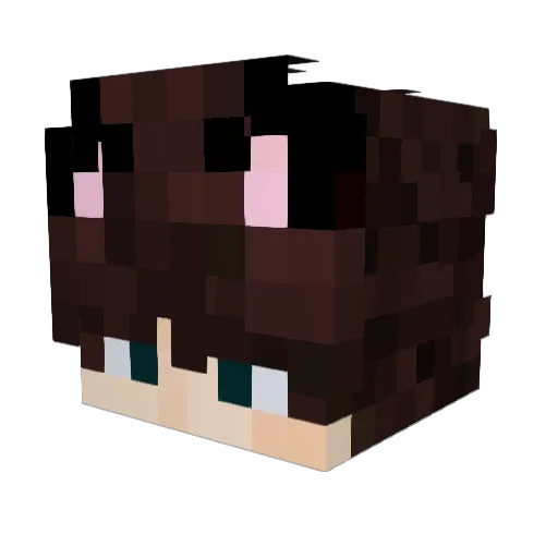 mnouq Minecraft avatar head, 3D render