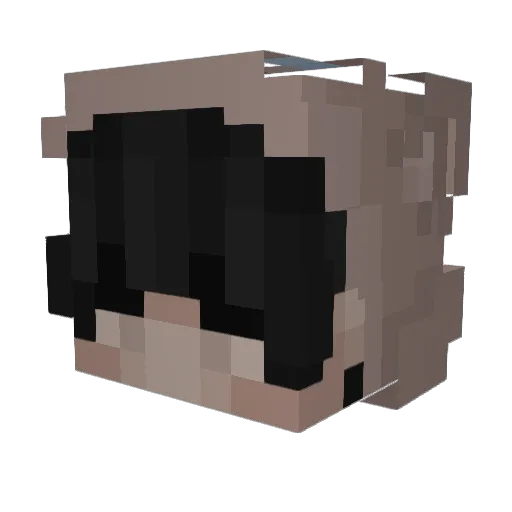 mo964 Minecraft avatar head, 3D render