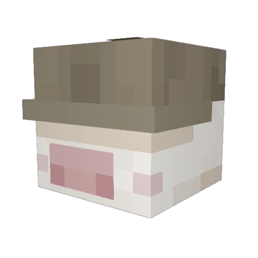 mo_and_krill Minecraft avatar head, 3D render