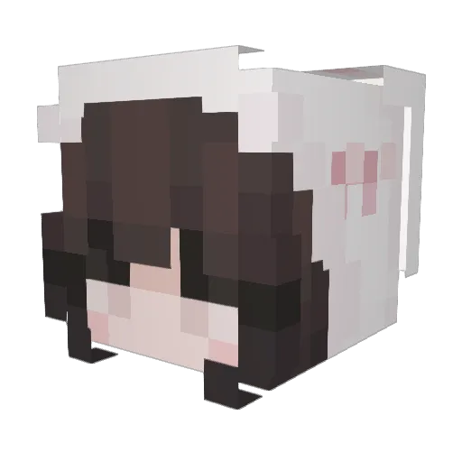 moamstripes Minecraft avatar head, 3D render