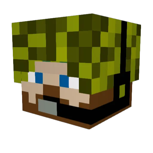 mobius28 Minecraft avatar head, 3D render