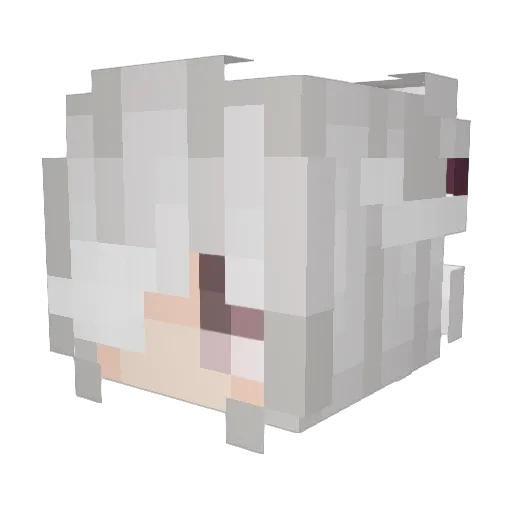 mobking2525 Minecraft avatar head, 3D render