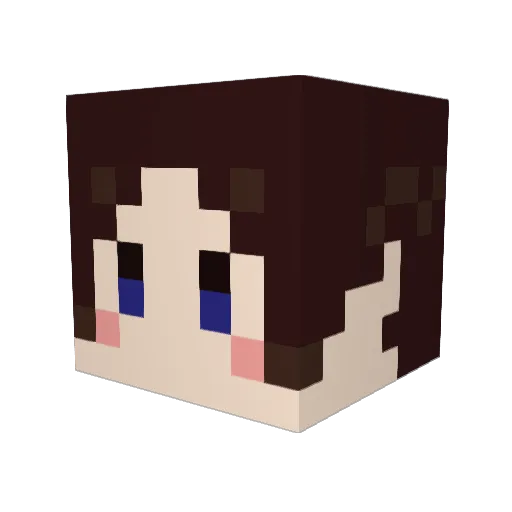 mocha_Aug Minecraft avatar head, 3D render