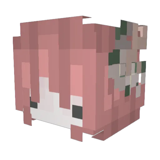 mochacafe Minecraft avatar head, 3D render