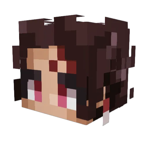 mochaguy Minecraft avatar head, 3D render