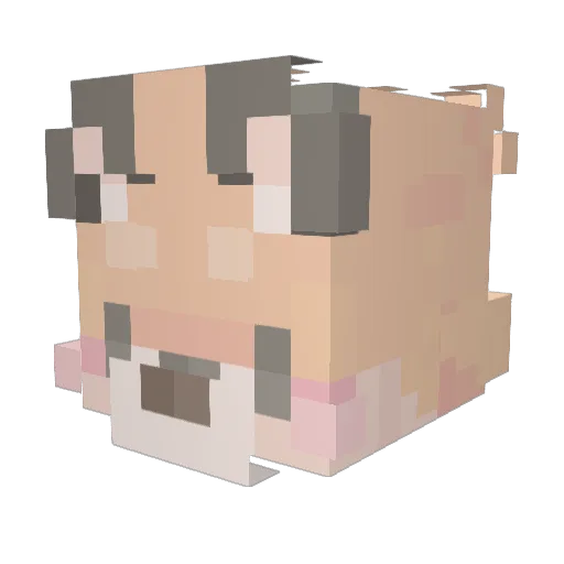 mochi_33 Minecraft avatar head, 3D render