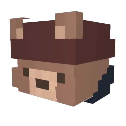 mochi__mugi Minecraft avatar head, 3D render