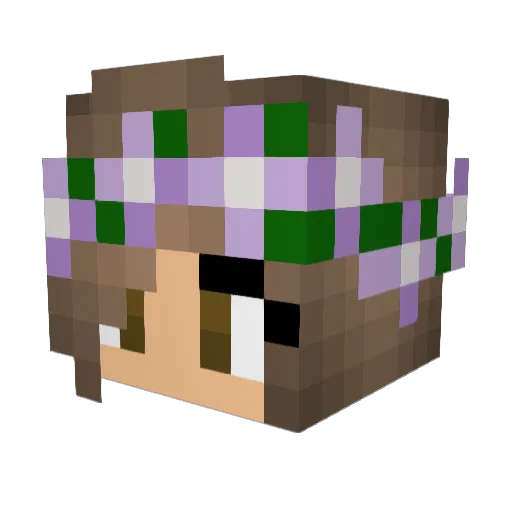 mochi_noodle Minecraft avatar head, 3D render