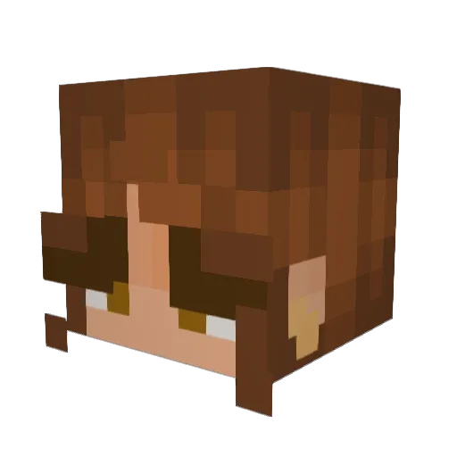 mochiibearr Minecraft avatar head, 3D render