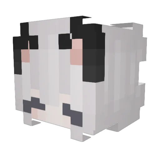 mochiiscutee Minecraft avatar head, 3D render