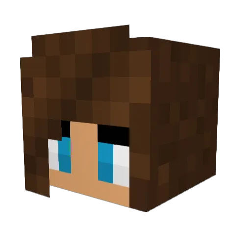 mockingjay214 Minecraft avatar head, 3D render