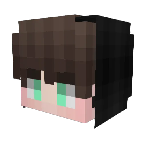 modler Minecraft avatar head, 3D render