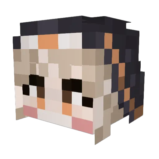 moe14lord Minecraft avatar head, 3D render