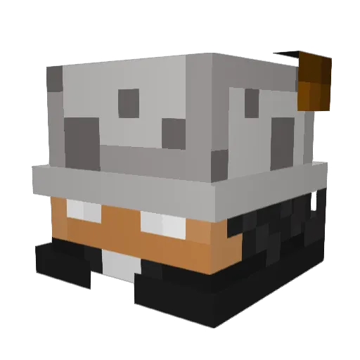 moeyWasTaken Minecraft avatar head, 3D render
