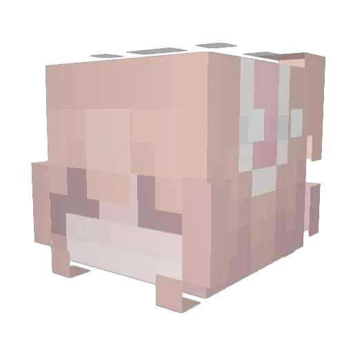 moihilu Minecraft avatar head, 3D render