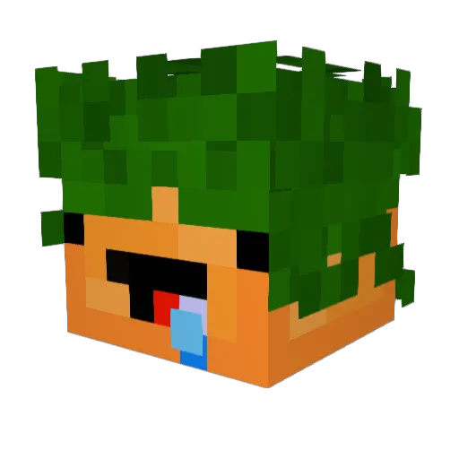 moin_chef Minecraft avatar head, 3D render