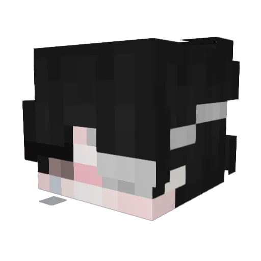 mojensenpai Minecraft avatar head, 3D render