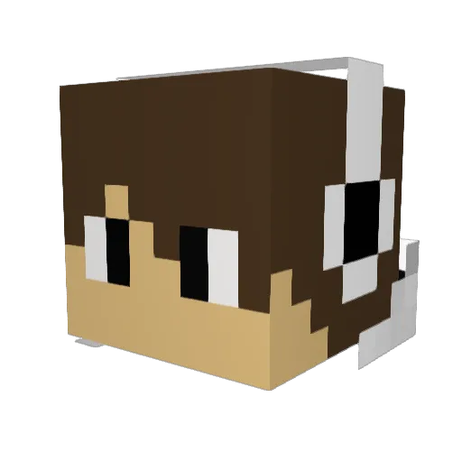 mojhito5 Minecraft avatar head, 3D render