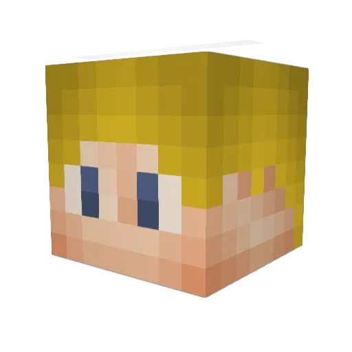 mojo8309 Minecraft avatar head, 3D render