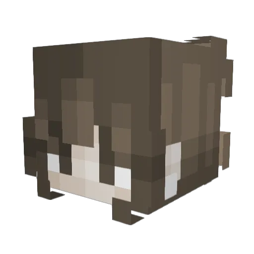 mojojojoxxo Minecraft avatar head, 3D render