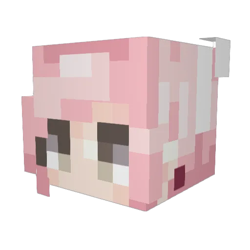 mojothefrodo Minecraft avatar head, 3D render