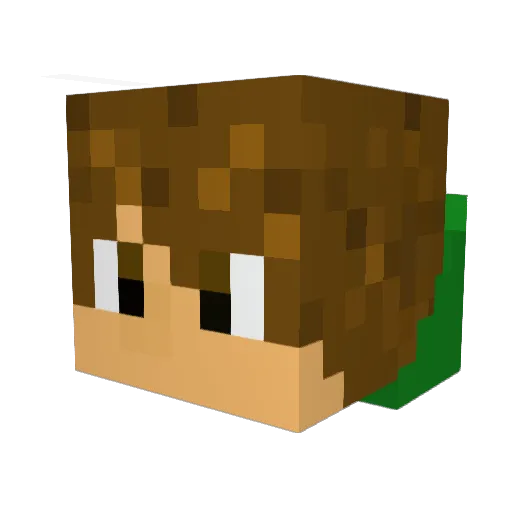 mokachi Minecraft avatar head, 3D render