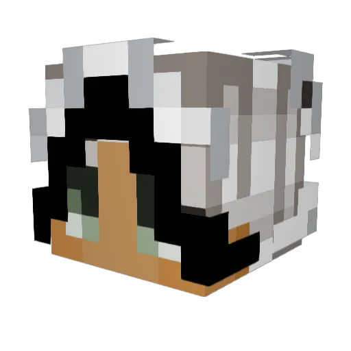 mokeyyes Minecraft avatar head, 3D render