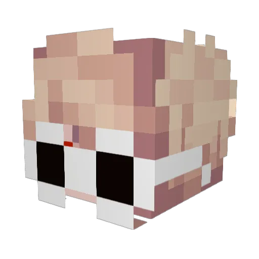 moki1212 Minecraft avatar head, 3D render