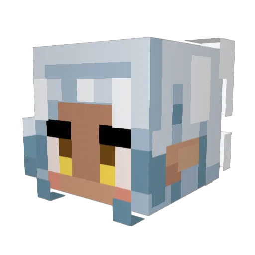 mokiibean Minecraft avatar head, 3D render