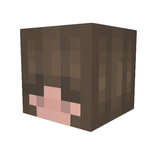 mokkox2 Minecraft avatar head, 3D render