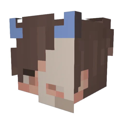 mokkryeon Minecraft avatar head, 3D render