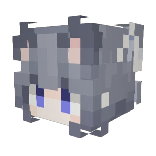mokraxy Minecraft avatar head, 3D render