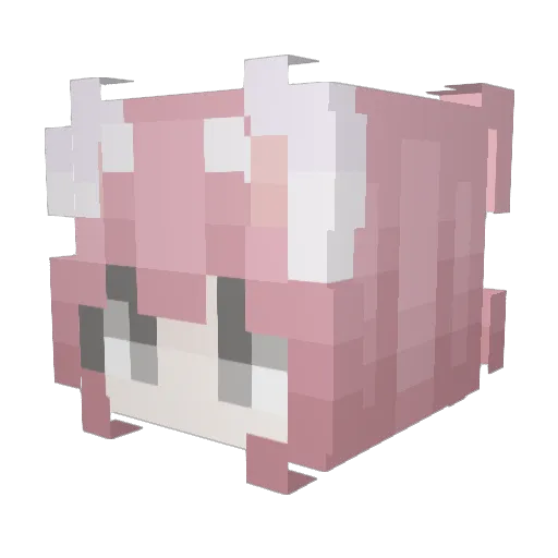 mol_infy Minecraft avatar head, 3D render