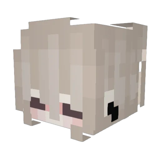 molan666 Minecraft avatar head, 3D render