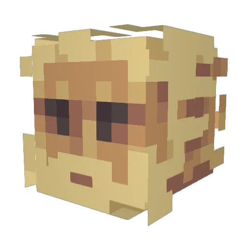 molanater Minecraft avatar head, 3D render