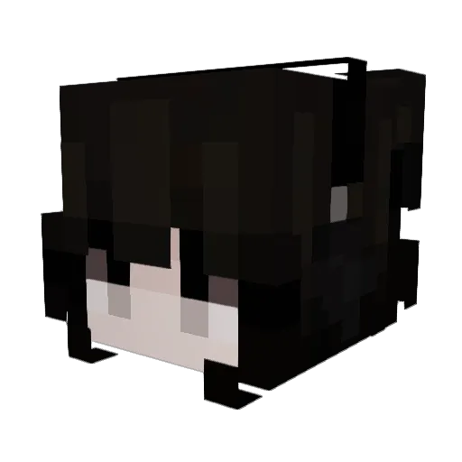 molavy Minecraft avatar head, 3D render